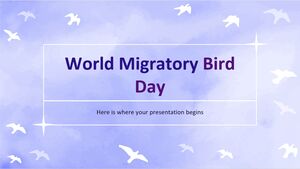 Всемирный день перелетных птиц