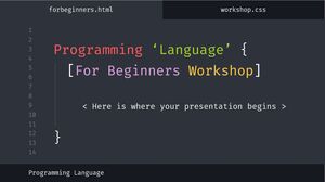 Programming Language Workshop for Beginners