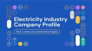 Profil de l'entreprise du secteur de l'électricité