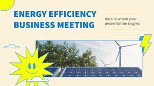 Reunião de Negócios de Eficiência Energética