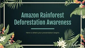 Amazon Yağmur Ormanları Ormansızlaşma Farkındalığı