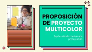 Proposition de projet multicolore