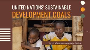 Obiectivele de dezvoltare durabilă ale Națiunilor Unite