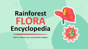 Ensiklopedia Flora Hutan Hujan