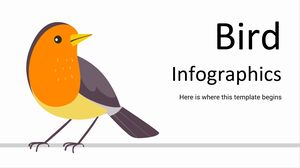 Infografía de aves