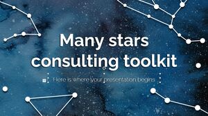 Many Stars 컨설팅 툴킷
