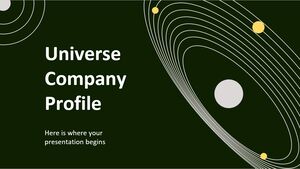 Profil Perusahaan Flat Universe
