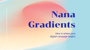 Spotkanie biznesowe Nana Gradients