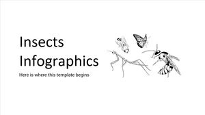 Infografica sugli insetti