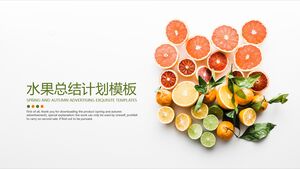 Modelo de plano de resumo de frutas
