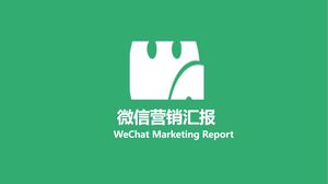 WeChat 마케팅 보고서 PPT 템플릿