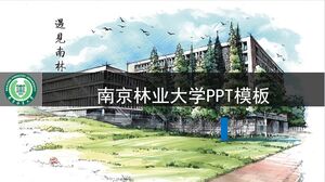 南京林業大學PPT模板