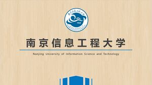 universitas ilmu dan teknologi informasi nanjing