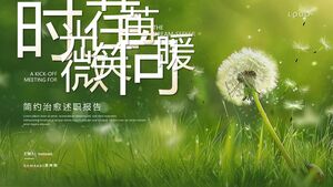 Green and Fresh Dandelion Background 