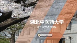 Hubei University of Traditional Chinese Medicine Hubei University of Traditional Chinese Medicine