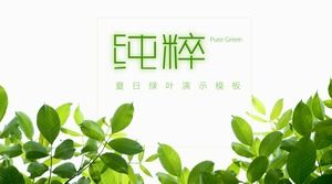 Green beautiful art fresh green leaf PPT template