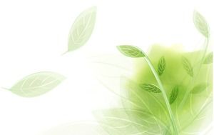 Green misty dreamy leaves leaves PPT background