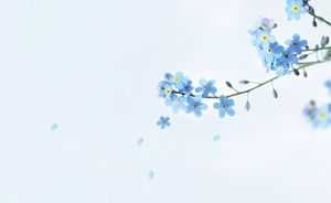 아름다운 푸른 꽃 PPT 배경 그림