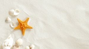 Beach starfish shell PPT background picture