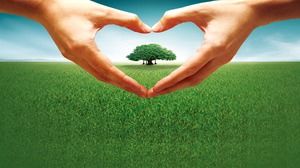 Green love nature PPT background