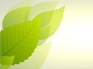 Frunză verde proaspătă imagine de fundal PPT