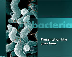Bactérias modelo do PowerPoint