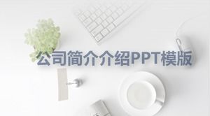 Presentación del perfil de la empresa Plantilla PPT