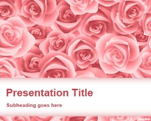粉紅玫瑰的PowerPoint模板