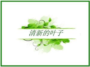 Зеленый свежий лист фон