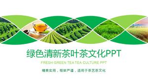 Plantação de chá verde fundo cultura de chá