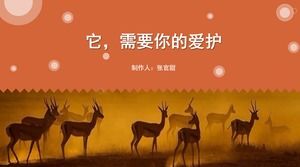 あなたの愛の動物保護厚生広報PPTテンプレートが必要です