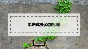 Vine green plant background on the wall translucent element small fresh universal work report ppt template
