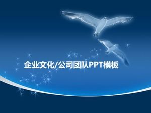 Seagull spread wings soaring ppt template proper for team presentation corporate culture display