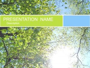Sunlight through branches and leaves fresh and natural ppt template