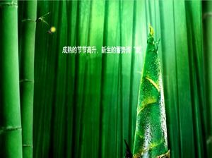 Cool bamboo shoot bamboo forest ppt template