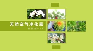 The effect of plants on the improvement of the air environment ppt template