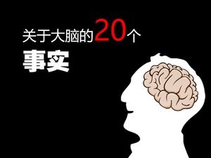 脳の職場訓練のための脳理解pptテンプレートに関する20の事実