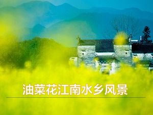 Modèle de ppt de paysage de village d'eau de fleur de viol de Jiangnan