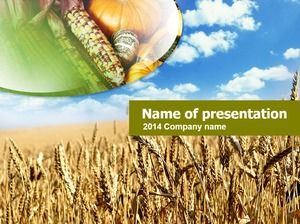 玉米，南瓜，小麦波感恩节主题ppt模板