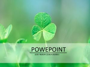 Fresh and elegant background clover ppt template