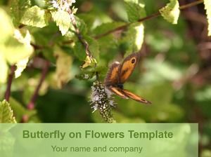 Modello di ppt della natura dei fiori di raccolto della farfalla