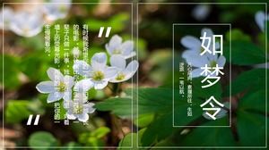 Fresh green plant picture layout magazine style PPT template