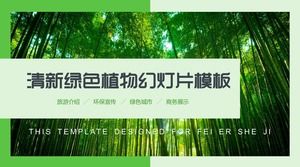 Świeży zielony bambusowy las PPT szablon