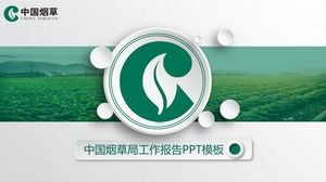 タバコ植物の背景を持つ中国のタバコPPTテンプレート
