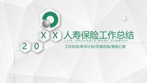 녹색 중국 생명 보험 회사 PPT 템플릿