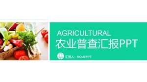 Green vegetable agricultural products PPT template free download