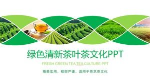 قالب الشاي الأخضر خلفية حديقة الشاي قالب PPT