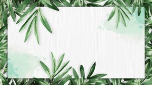 Four plant leaves PPT border material