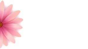 ピンクの繊細な花びらPPT背景画像のセット