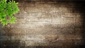 PPT background picture of brick wall and green leaf